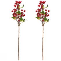 tételeket Csipkebogyó díszítő ág piros gyümölcsökkel L60cm 2 db