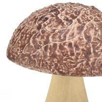 tételeket Fa gomba díszgomba asztali dekoráció ősz barna natúr 5×6cm 8 db