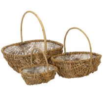 tételeket Burgonyakosár 43/33/23cm fóliával, natúr, 3 db-os szett.