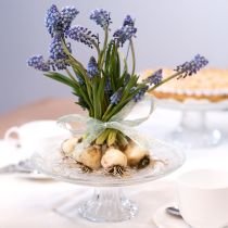 tételeket Klasszikus üveg tortalap lábon - Elegáns minden ünnepséghez Ø 20cm