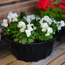 tételeket Konyhai dekoráció fekete tortaforma Gugelhupf fém Ø23cm