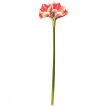 tételeket Artificial Amaryllis Pink and Cream – Nagy szárú virág 76cm