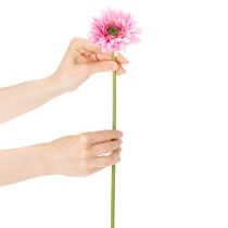 tételeket Mesterséges Gerbera Kerti Virágok, Rózsaszín, 47cm, 6 Darab