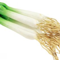 tételeket Mű újhagyma dísznövények H30cm 4 db