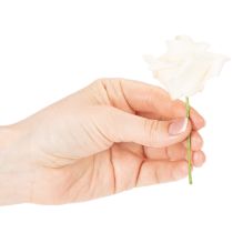 tételeket Műrózsa, krémszínű, 10 cm-es virágzat száron, 100 darab