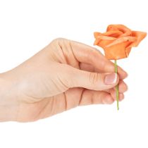 tételeket Műrózsa narancssárga, 5 cm-es virágzat, szimpla, 100 darab