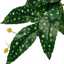 tételeket Mesterséges begónia műnövény zöld, sötétzöld 42×28cm