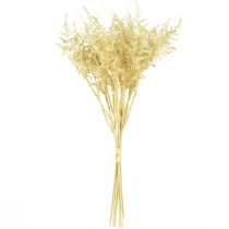 tételeket Műpáfrányszerű fehérített L34cm 12 db 2 csokor