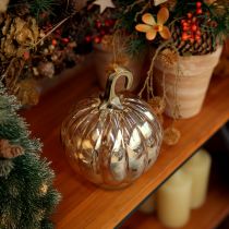 tételeket Tök dekoráció üvegből üveg tök asztaldísz narancssárga Ø14cm M18cm