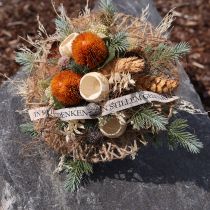 tételeket Művirágok, Banksia, Proteaceae narancssárga H58cm M6cm 3 db