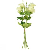 tételeket Művirágok Eustoma Lisianthus sárga zöld 52cm 5 db