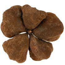 tételeket Landlotus Nature 50 db