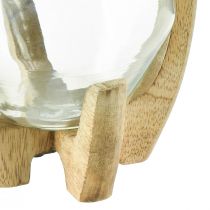 tételeket Lámpás fa üveg lámpás dekoratív mangófa natúr Ø14cm H26cm