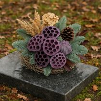 tételeket Lótusz kapszula, száraz virágkötő, lótuszhagyma rózsaszín, mosott fehér 50 db