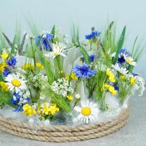 tételeket Tengerészeti, Capiz kagylók 5–10 cm, gyöngyház, természetes tárgy 1 kg