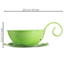 tételeket Fém díszpohár, almazöld, csészealjjal, M8cm Ø11.5cm, 2 darab