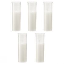 tételeket Utántöltő gyertyák sírlámpákhoz fehér 84h H17cm 5 db