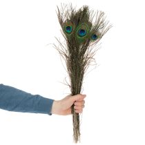 tételeket Pávatollak, igazi madártollak barkácsoláshoz és díszítéshez, 55 cm, 10 darab