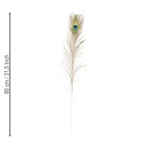 tételeket Pávatoll dekoráció, igazi madártoll, hosszú 75-85cm, 8 darab
