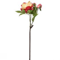 tételeket Pünkösdi rózsa Selyemvirágok Művirágok Pink Sárga 68cm