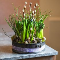 tételeket Ültető, dekoratív tepsi, rugós tepsi ültetéshez, fém díszítéssel Ø24cm H7,5cm