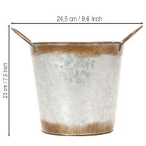 tételeket Fém virágtartó, virágtál, kaspó fülekkel, ezüst, rozsdabarna felület, Ø18cm MA20cm