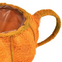 tételeket Tökdísz virágcseréphez narancssárga-zöld Ø19cm M12cm