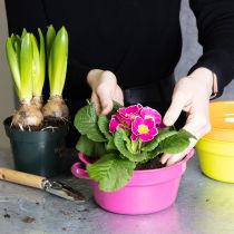 tételeket Fém virágtartó, eredeti dizájn kifinomult életterekbe és stílusos dekorációhoz, 17 cm, 3 darab