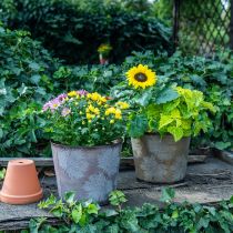 tételeket Cserepes, őszi dekoráció, fém edény levelekkel arany Ø25,5cm H22cm