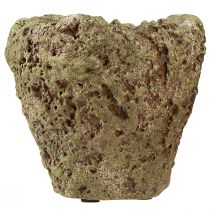 tételeket Kaspó rusztikus, erdei hatású, Ø12,5cm, M12cm, 2db