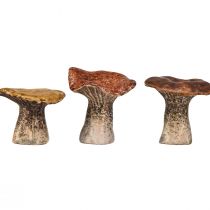 tételeket Természet ihlette dekoratív gombafigurák - a barna különböző árnyalatai, 6,4 cm - Bájos díszítőelemek kertben és otthonban, 3 darabos csomag