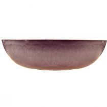 tételeket Elegáns lila műanyag tál 37x10,5 cm - sokoldalú dekorációhoz - 3 darab