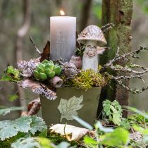 tételeket Növénydoboz fa kopott elegáns fadoboz zöld 11×14,5×14cm