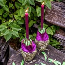 tételeket Kúpos gyertyák egyszínű bordó 21×240mm 12 db