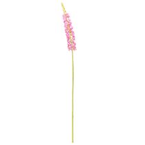 tételeket Steppe gyertya Desert Tail Pink 106cm