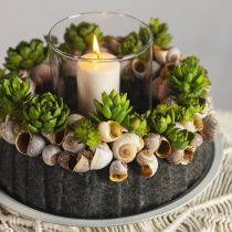 tételeket Zamatos Echeveria mesterséges zöld növény zöld Ø5,5 cm 12,5 cm