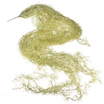 tételeket Tillandsia dekoratív akasztós Tillandsia műzöld fehér 180cm