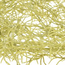 tételeket Tillandsia dekoratív akasztós Tillandsia műzöld fehér 180cm