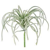 tételeket Tillandsia zamatos mesterséges zöld növények 13cm
