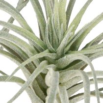 tételeket Tillandsia zamatos mesterséges zöld növények 13cm