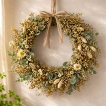 tételeket Szárított virágok Seprű Bloom Olive Green 160g 48cm