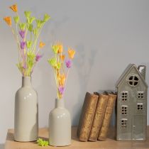 tételeket Szárított Nigella virágok, bájos természetes szobadísz otthonra, 70cm, 50g