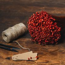 tételeket Szárított virágcsokor, bájos kiegészítője vázáknak vagy virágkompozícióknak, 44 cm