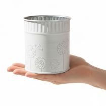 tételeket Pitypang virágcserép, fehér, Ø9,5cm, M11cm