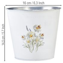 tételeket Fehér fém virágtartó, virágcserép, Ø16cm, M14.5cm