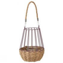 tételeket Lámpás fogantyúval és üveg lila natúr Ø18cm H22cm