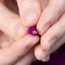 tételeket Gyapjúzsinór, lila, 55m díszzsineg virágkötészethez és kézműveskedéshez