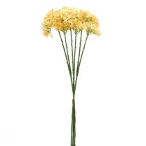tételeket Díszhagyma Wild Allium műsárga 70cm 3 db