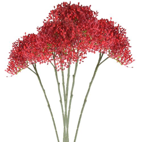Bodza piros művirág őszi csokorba 52cm 6db