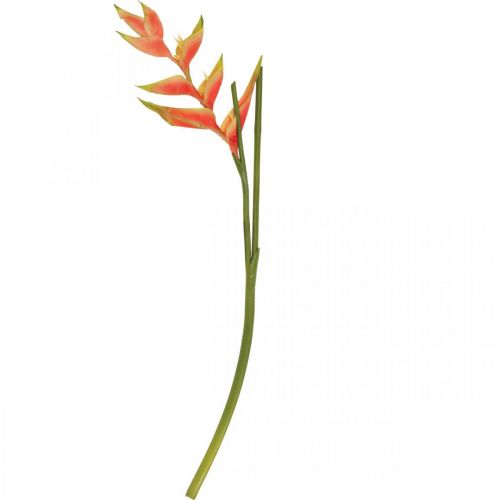 Floristik24 Heliconia művirág egzotikus rózsaszín, zöld H103cm